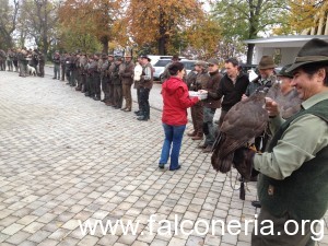 falconieri austriaci