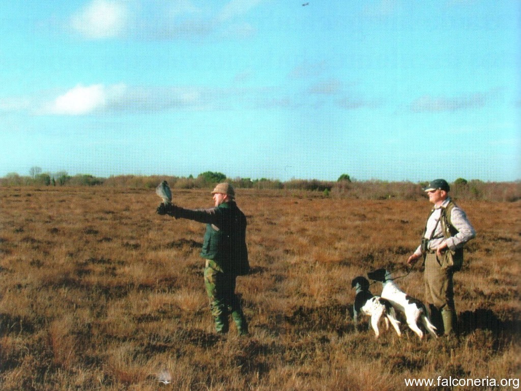 Grant Hagger & Martin Brereton con i suoi Pointer Inglesi. Foto: Eoghan Ryan