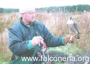 Grant Hagger con il suo terzuolo e il suo beccaccino appena catturato. Foto: Eoghan Ryan