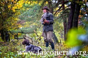 falconeria 9