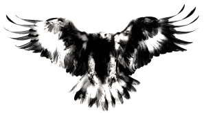 aquila-1