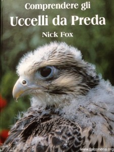 comprendere-uccelli-da-preda-nick-fox
