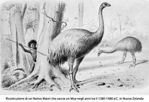 Moa
