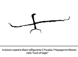 L’Aquila di Haast - Falconeria.org - Il Portale Italiano sulla Falconeria