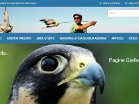 falconiere-sito