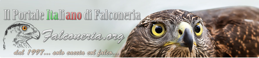 Il Portale Italiano di Falconeria