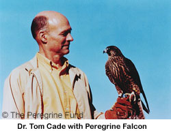 brd_Cade_TPF
