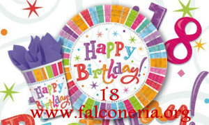 buon compleanno falconeria1