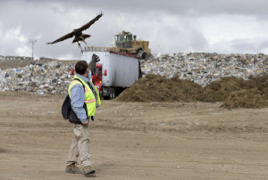 bird control