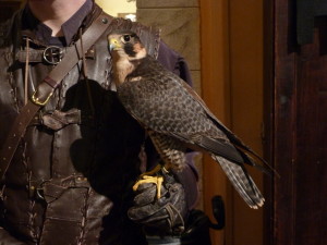 medieval_falconer_by_kirasdarklight-d7vpdo4
