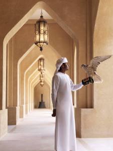 falconiere arabo