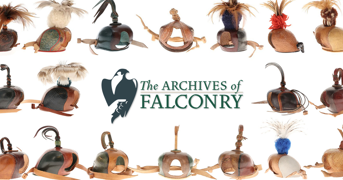 cappucci per falconeria