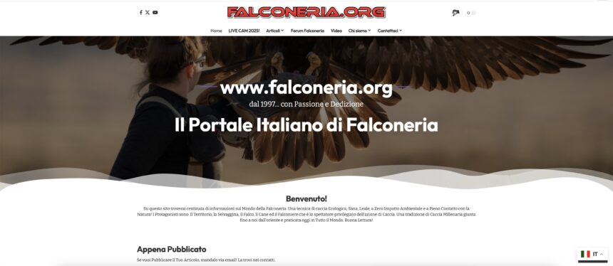falconeria con le aquile