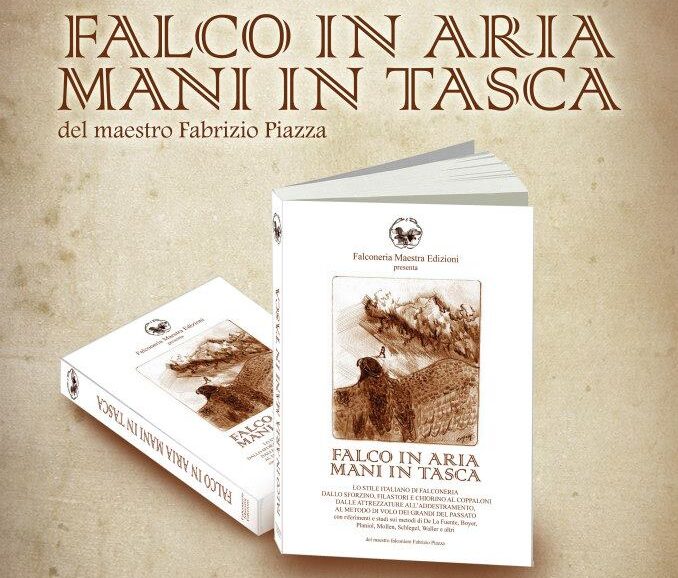 falco in aria mani in tasca